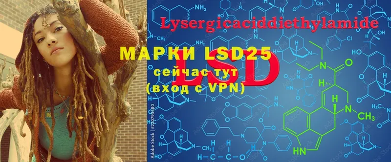 LSD-25 экстази ecstasy  наркошоп  Гороховец 